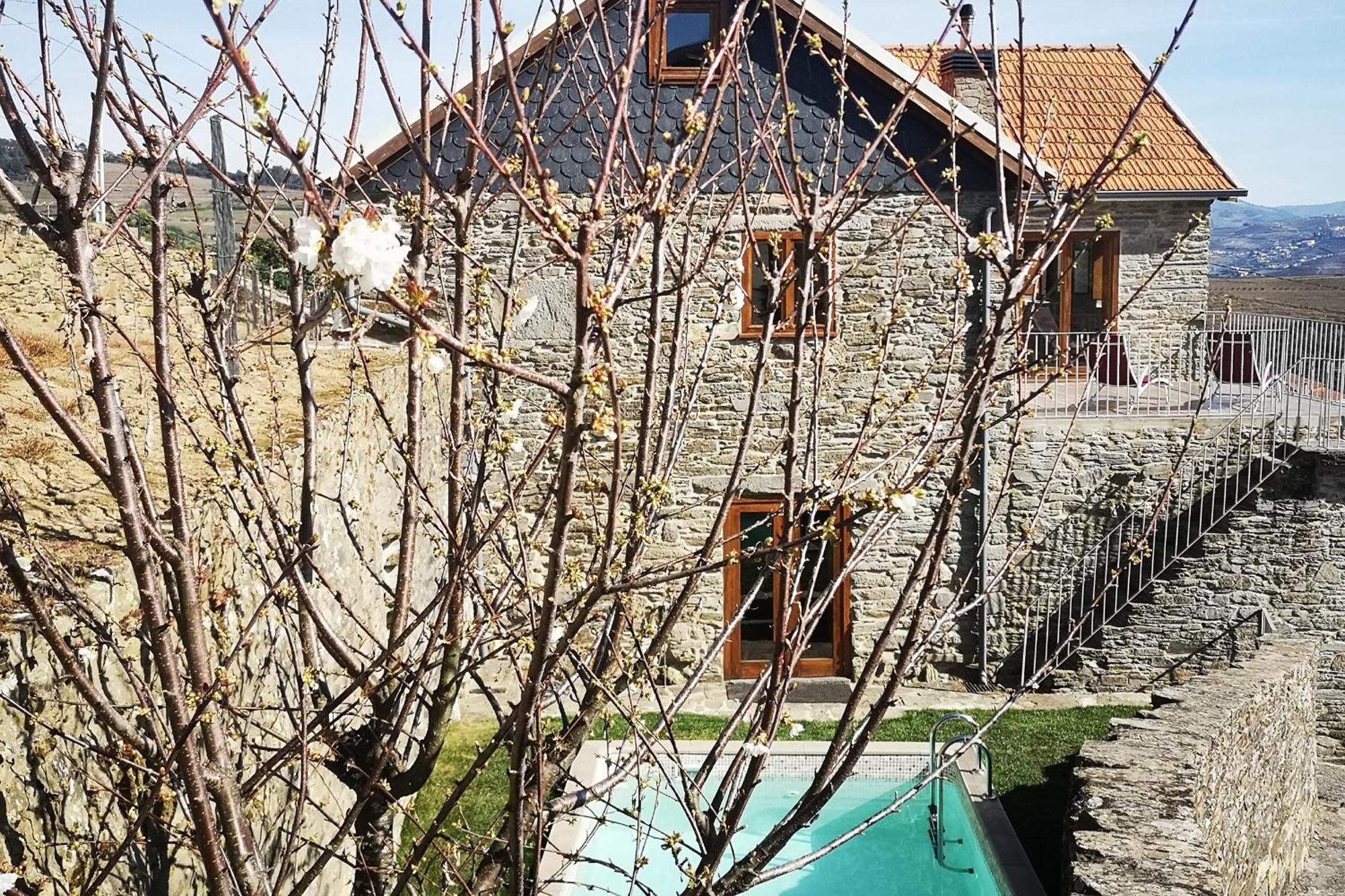 Sobreiro'S Villa In Douro Valley Mesão Frio Exteriér fotografie